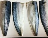 簡単絶品！塩サバの香草パン粉焼き作り方1写真