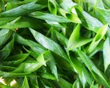 ネギ大量消費＊たっぷり山盛りネギうどん作り方4写真
