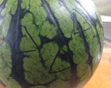 すいかちょうちん作り方5写真