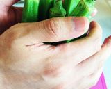 お出汁でしっとり しゃぶしゃぶサラダ作り方5写真