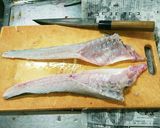 マゴチの刺身とマゴチの煮付け作り方5写真