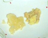 から煎りおからのキーマカレー作り方4写真
