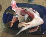 はまちのかま塩焼き　バーベーキュー作り方1写真