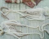 イカ焼き作り方5写真