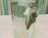 【簡単】水だし緑茶作り方2写真