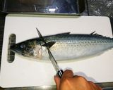 基本！魚の捌き方 サバの捌き方作り方2写真