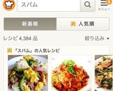 卵ふっくら♡スパムのゴーヤチャンプルー作り方11写真