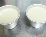 粉末緑茶で作るとろぷるプリン作り方4写真