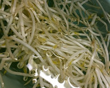 ☆カレーマヨ味のささ身もやし炒め☆作り方3写真