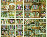 薄焼き卵わんぱくサンド♥低糖質ダイエット作り方6写真