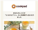 一番簡単！失敗無し激ウマとろけるプリン作り方15写真