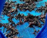 梅干し 土用干し→漬け込みまで作り方15写真