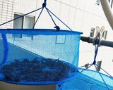 梅干し 土用干し→漬け込みまで作り方16写真