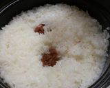 さっぱり梅ごはん作り方1写真