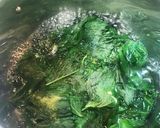 健康 青しそジュース作り方2写真