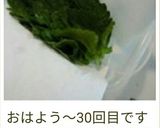 大葉の保存方法作り方6写真