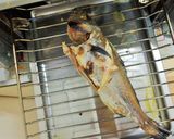 【釣食】イサキの塩焼き作り方5写真