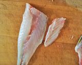 【釣食】イサキの手まり寿司作り方9写真