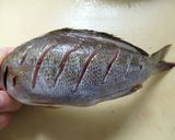 イサキの唐揚げ（または外道の唐揚げ）作り方2写真