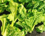 筍と菜の花の和風醤油ソテー作り方1写真