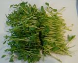 大根と豆苗のなめたけ海苔サラダ!作り方2写真
