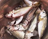 釣ったアジコ(アジの子)で①唐揚げ作り方2写真