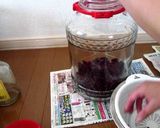 紫蘇焼酎【甘くない】作り方3写真
