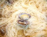 香草たっぷりっ！あんかけアサリバター素麺作り方6写真