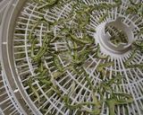 乾燥機を使って作る‥ゴーヤ茶作り方4写真
