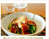 夏にぴったり☆うなぎとくずきりの酢の物作り方7写真