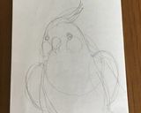 食パンアート★我が家のオカメインコ作り方1写真