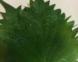 なすの即席漬け作り方12写真