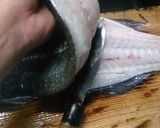 80cmのシーバスの二枚おろしからの刺身作り方9写真