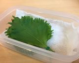 ☆簡単保存☆ 大葉の傷みにくい保存方法作り方2写真