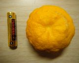 ゆずとレモンのさっぱりシャーベット作り方1写真