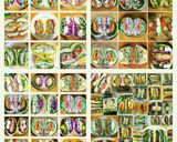 ボリュームサンドイッチお弁当☀︎沼サンド作り方8写真