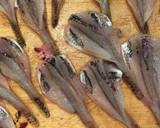 【マハゼ釣果】 素材を活かした揚げもの作り方8写真