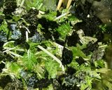 節約つまみ☺水菜&ワカメ♡スタミナサラダ作り方4写真