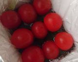 ミートローフと夏野菜のテリーヌ作り方6写真
