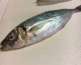 あじのさんが作り方1写真