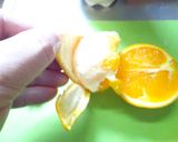 最速のミックスジュース作り方7写真