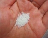 ジューシーで美味しいトウモロコシの茹で方作り方7写真