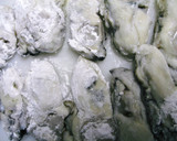 焼いてから包む♪牡蠣と白菜のホイル焼き作り方4写真