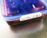みょうがのしそ漬け♪大量消費に！作り方7写真