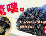 基礎からの"カンタン"しじみの砂抜き作り方14写真