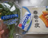 意外なおいしさ♪　トルコ風な春巻き作り方1写真