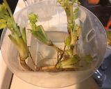 パクチーの根っこのフリット作り方1写真