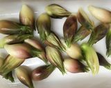母の味♡みょうがのしそ味大根酢漬け♪作り方4写真