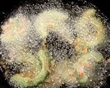 食べやすい〜！ゴーヤの天ぷら作り方3写真
