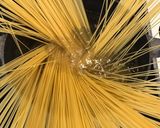 冷製パスタ、カッペリーニのトマト麺つゆ！作り方1写真